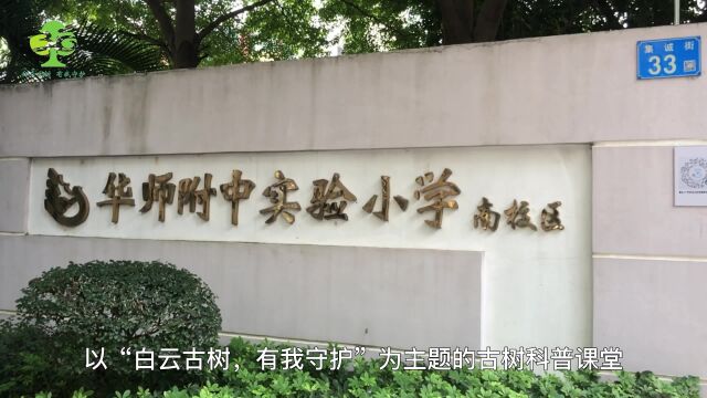 【华师附中实验小学(南校区)】古树保护科普课堂走进校园活动