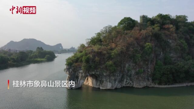 广西桂林象鼻山秋季景观植被黄绿交错