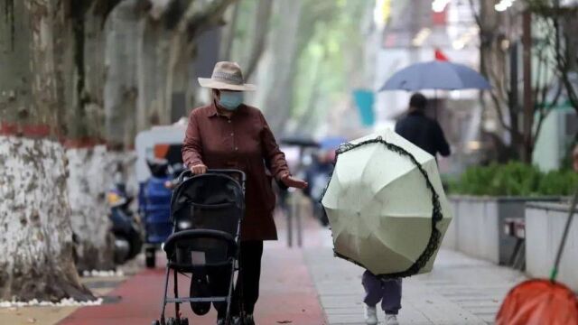 局地降温18℃以上,预报图发紫!今年寒潮为何来得这么早?