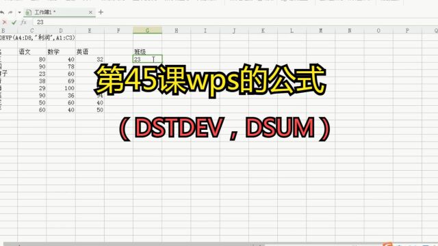 第45课wps的公式(DSTDEV,DSUM)