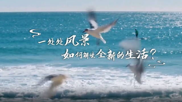 探古村、游田园、听海浪、玩陶艺……畅游海南澄迈,感受森林大海的自然风韵,触摸历史雕刻的一砖一瓦