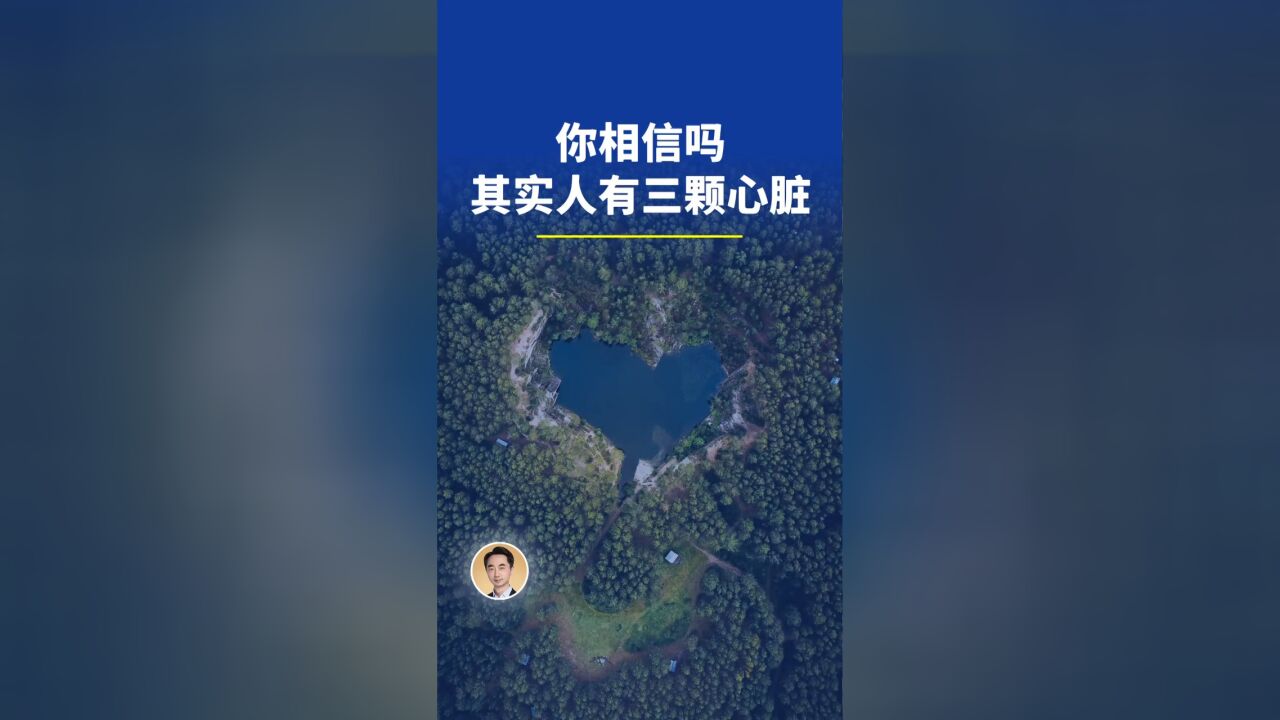 你相信吗?其实人有3颗心脏