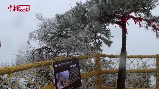 河南老君山、老界岭等地迎来入秋后首场降雪