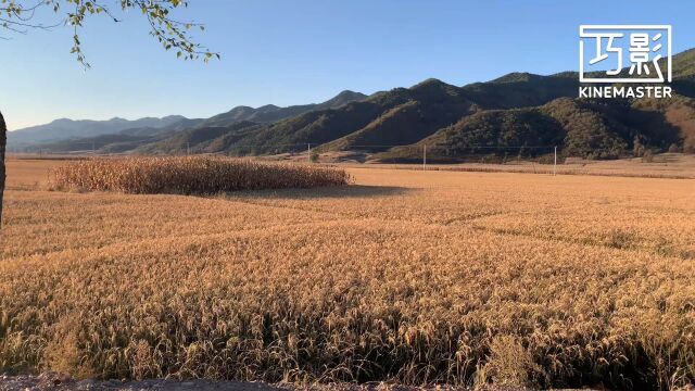 徒步日记——李家台最高峰玩一下