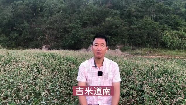 这种一对一真心的交流和沟通,是无可替代的(吉米ⷮŠ道南)