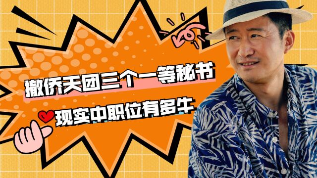 万里归途:撤侨天团3个“一等秘书”都是啥级别?现实之中有多牛