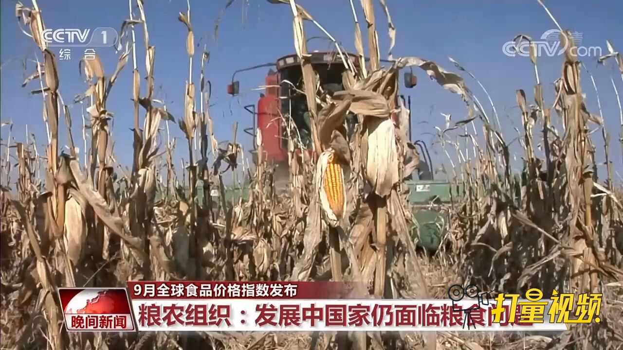 粮农组织:发展中国家仍面临粮食问题