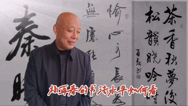 大书法家杨再春的书法水平你是怎么看的