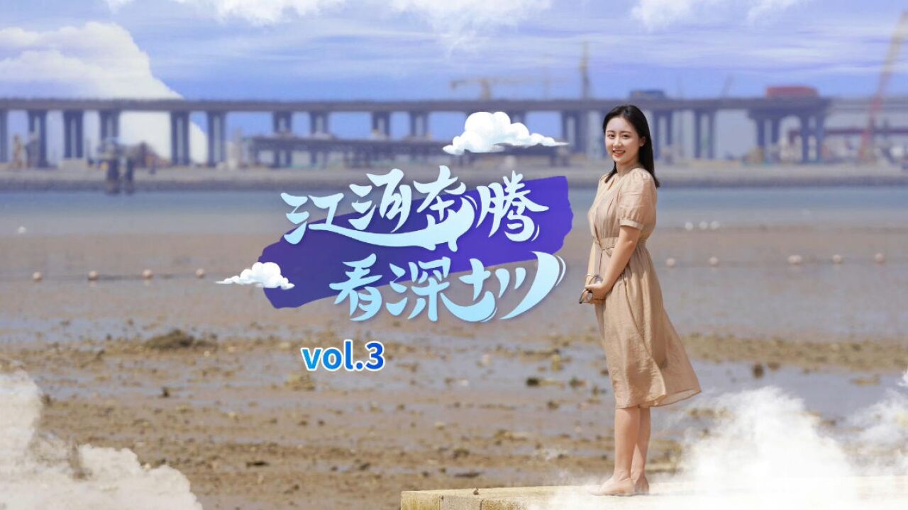 江河奔腾看深圳 vol.3