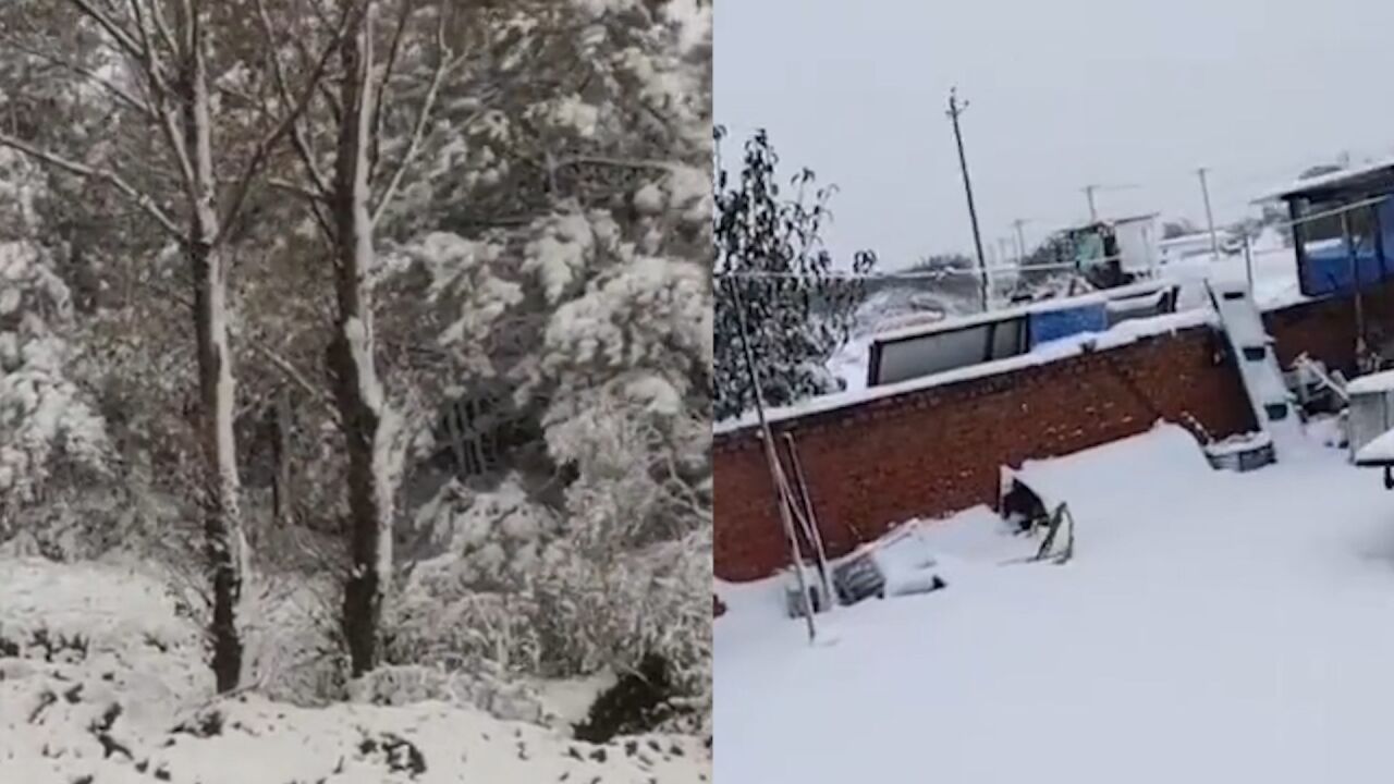 气温骤降!实拍辽宁多地大雪纷飞:积雪没过脚踝 菜地被白雪覆盖