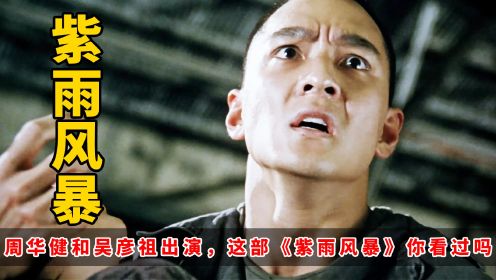 周华健和吴彦祖共同出演，这部1999年的《紫雨风暴》，你看过吗？