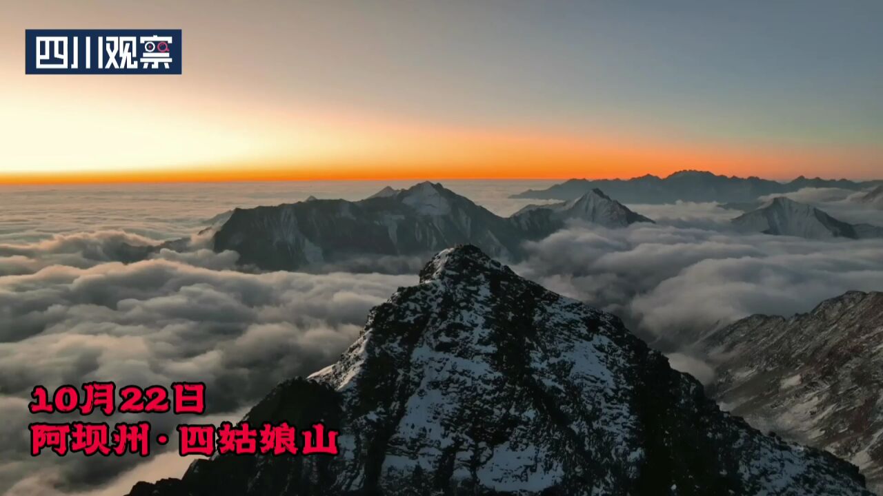 赏秋景|四姑娘山日出和云海同框