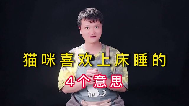 猫咪喜欢“上床”睡,其实是这几个意思