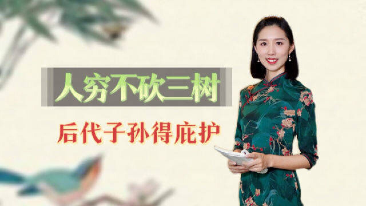 古人告诫:“人穷不砍三树,后代子孙得佑护”,是指哪3种树?