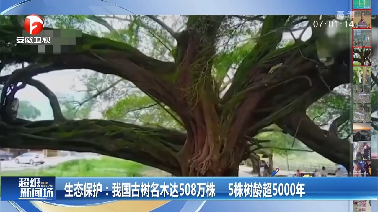 我国古树名木达508万株,5株树龄超5000年