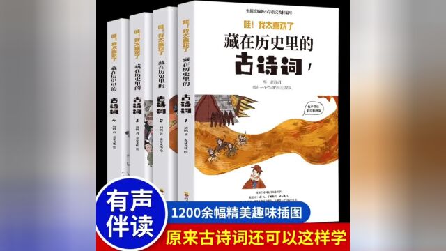 藏在历史里的古诗词全套4册 1到6年级课外书