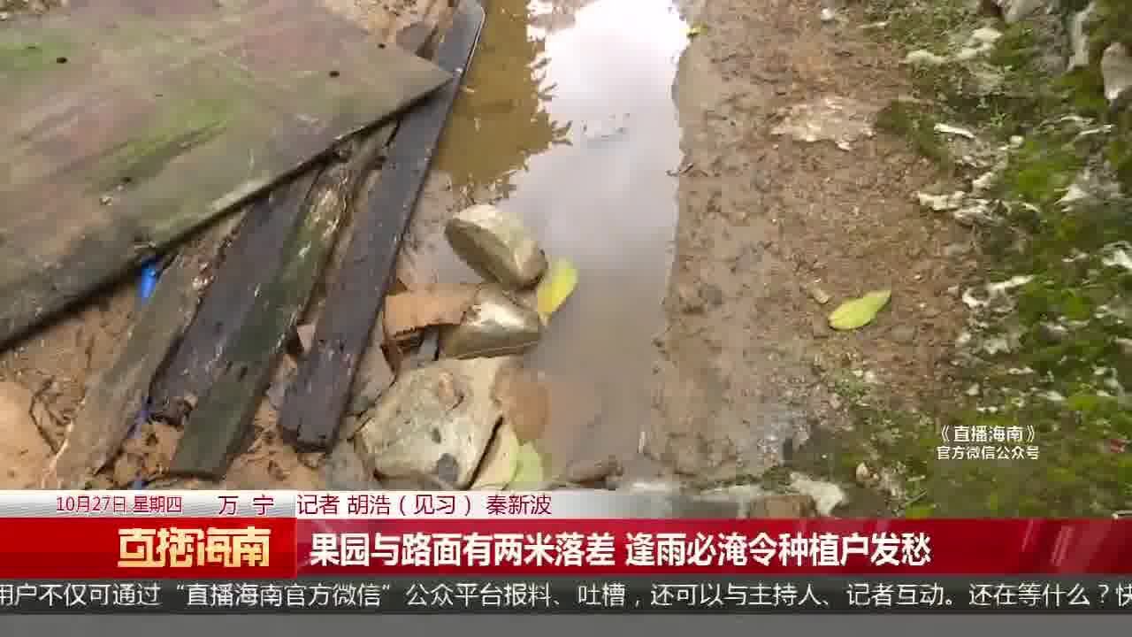 果园与路面有两米落差 逢雨必淹令种植户发愁