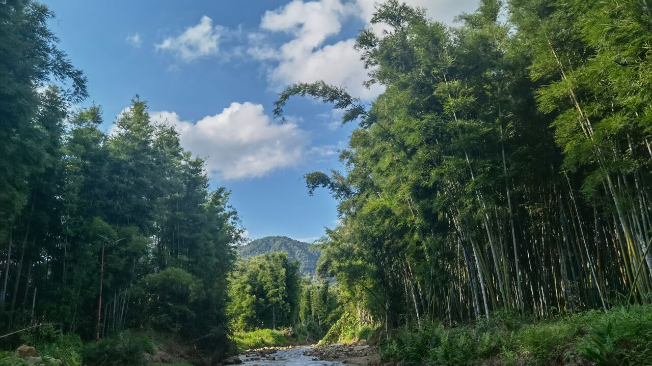 龙门:深化治水治气治废,筑牢大湾区生态屏障