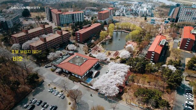 大邱大学留学生校园生活宣传片