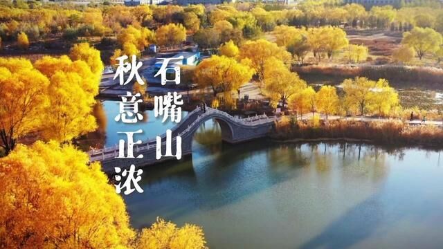 听说咱石嘴山的秋景上了央视,必须好好赞一赞!#石嘴山 #宁夏 #红叶 #一起享受大自然的美