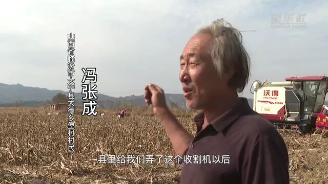 新华全媒+丨山西大宁:火红高粱迎丰收