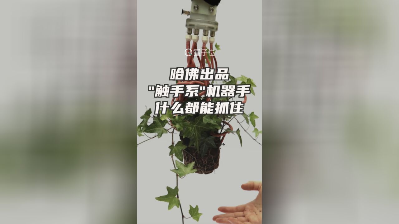 哈佛出品＂触手系＂机器手,什么都能抓住