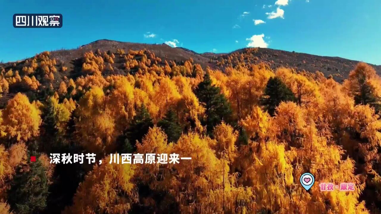 高山流水 层林尽染 这里的秋天拍了拍你