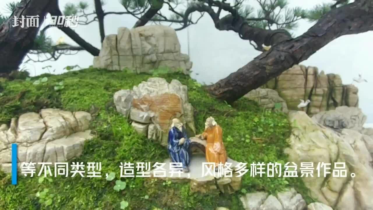 周末去百花潭公园欣赏“无声的诗” 成都第24届盆景展即将闭幕