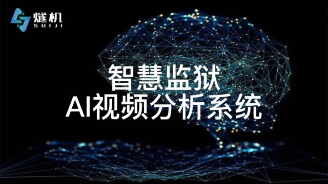 智慧监狱AI视频分析系统