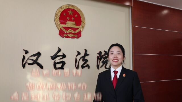 学习党的二十大精神,奋进新征程汉台区人民法院强化审判职能、服务保障高质量发展(二)