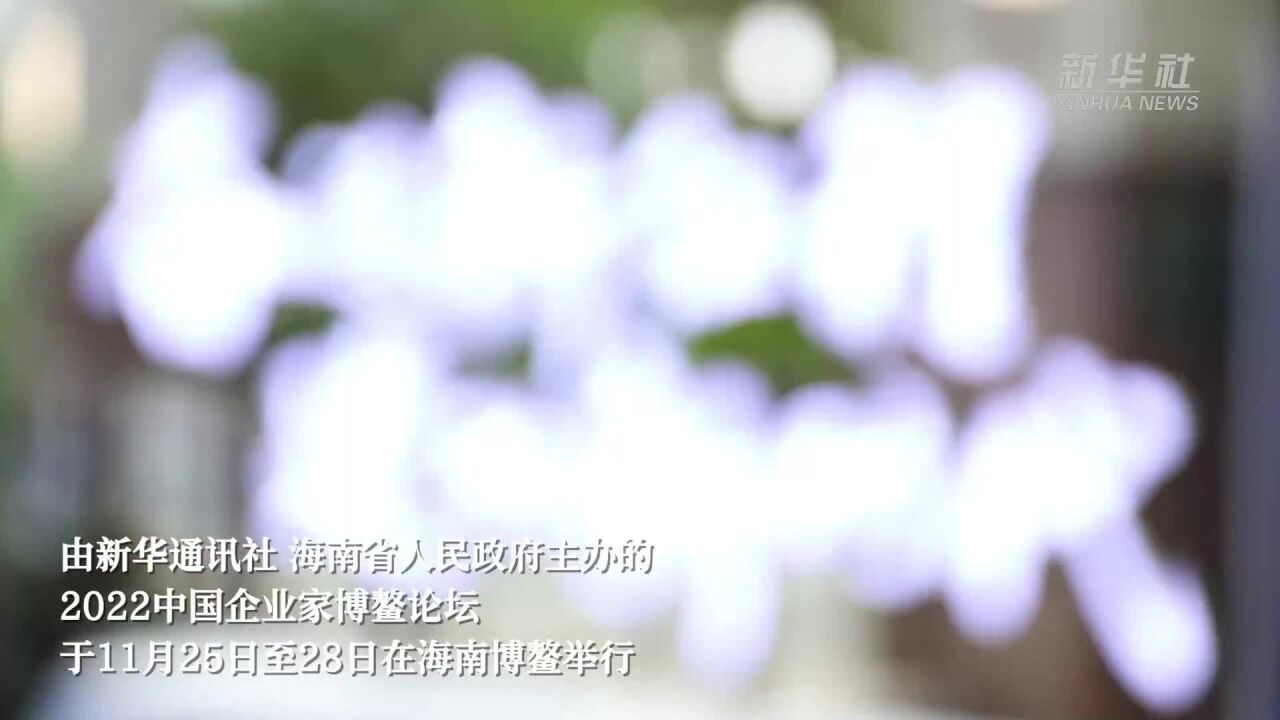 新华全媒+|2022中国企业家博鳌论坛:企业家在乡村振兴中大有可为