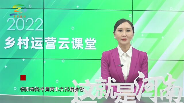 河南省推进乡村与振兴:乡村运营师云课堂(下)