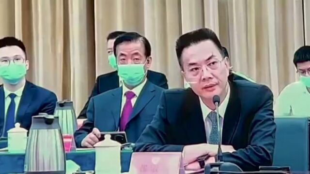 全国政协委员张宗真发言视频