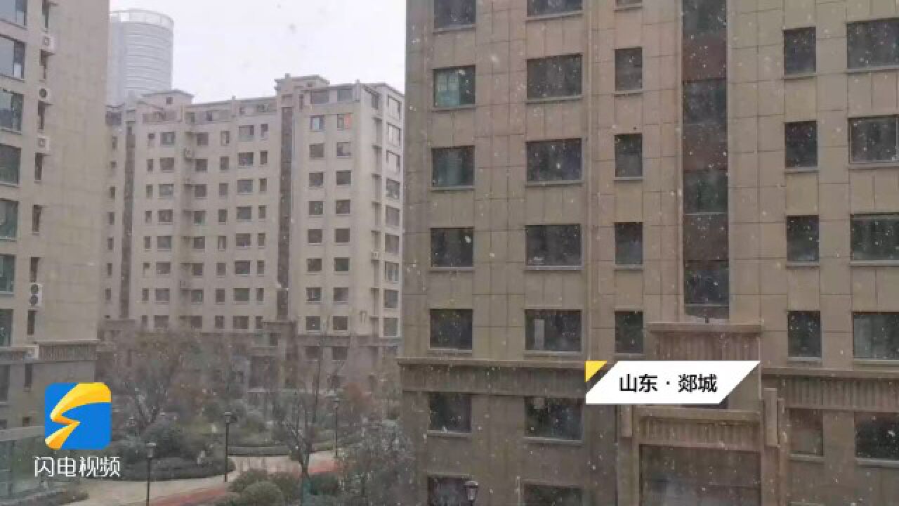 雪景模式解锁!白雪青竹相映成趣 临沂郯城迎来今冬首场降雪