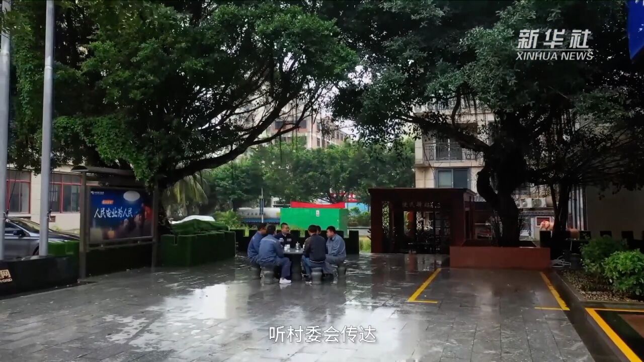 大榕树下小茶坊