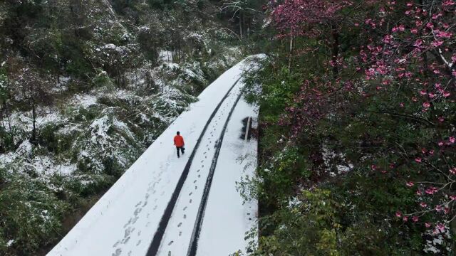 12月你好!寒冬将至,有雪的冬天才完美,冬季赏雪预告来了!