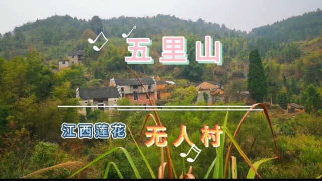 江西大山里的无人村,清一色的豪华古宅,散养的公鸡在村里到处窜