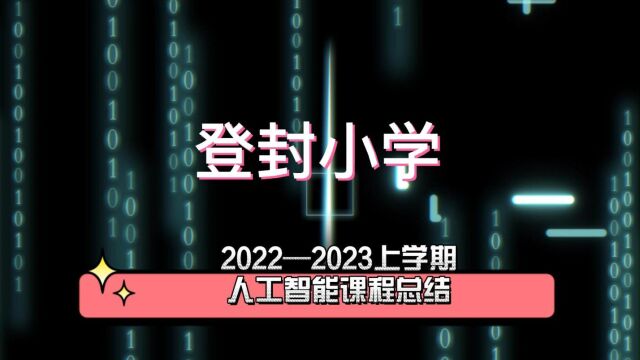 登封小学课程总结