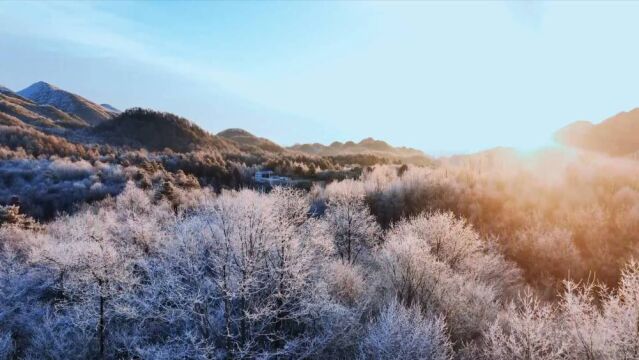 重庆巫溪:冰雪染峰林 云海入画来