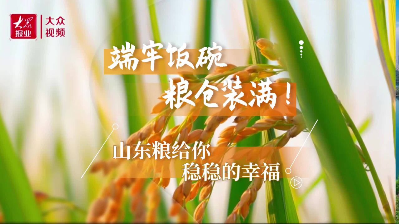 端牢饭碗,粮仓装满!山东粮给你稳稳的幸福