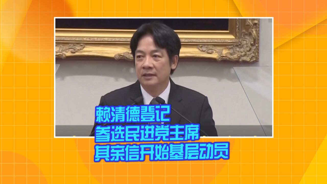 赖清德登记参选民进党主席 其亲信开始基层动员 腾讯视频