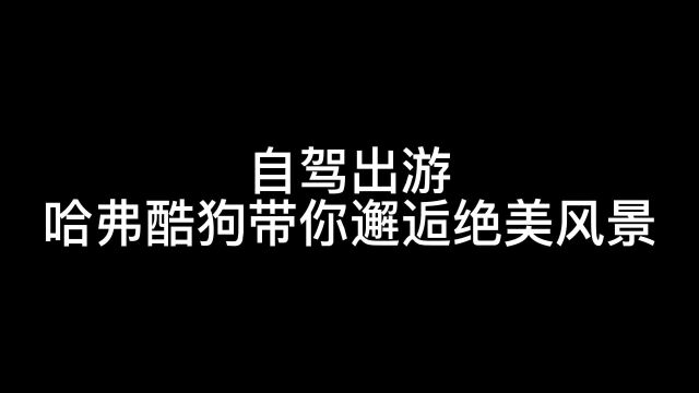 哈弗酷狗性能强悍,解锁全新玩车方式