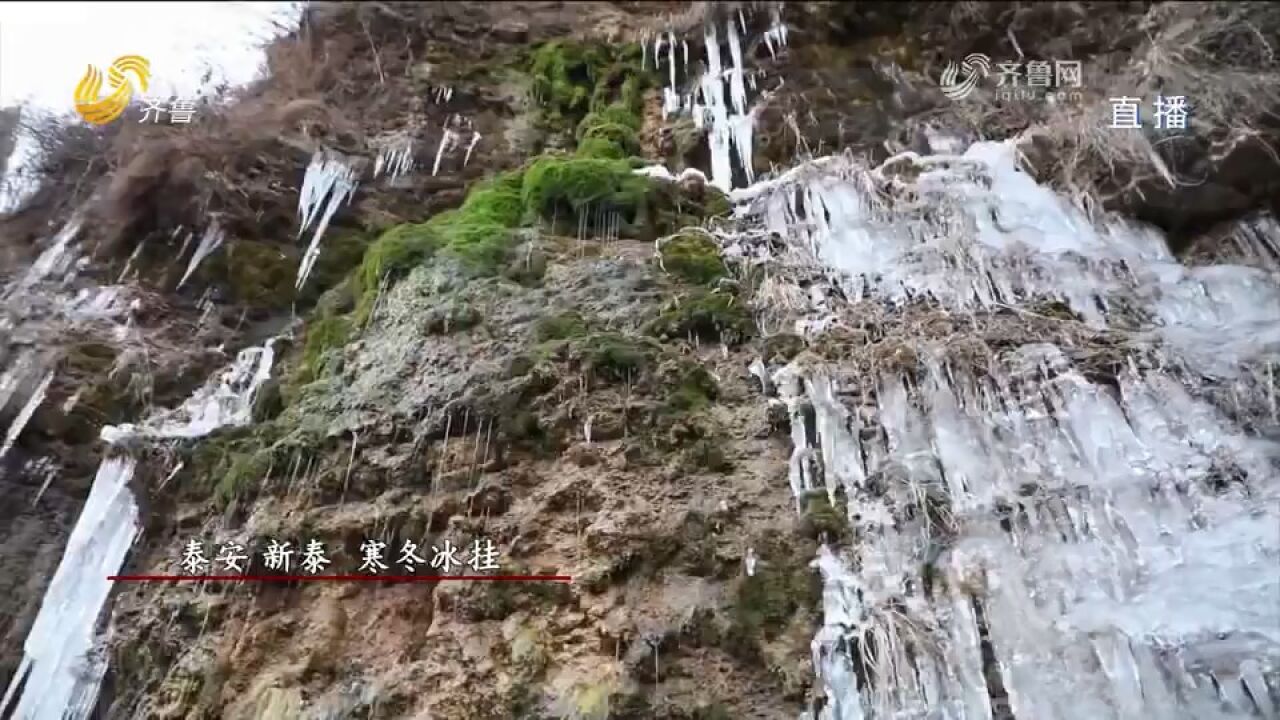 冬日限定美景!泰安新泰现“冰挂”奇观,晶莹剔透,宛如童话世界