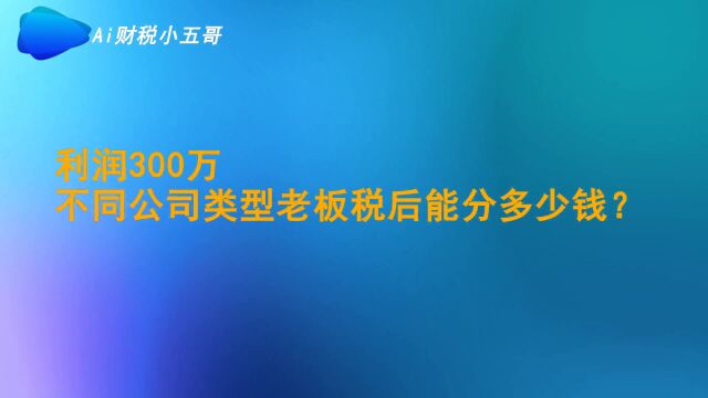 利润300万,不同公司类型交税后老板能分到多少钱?