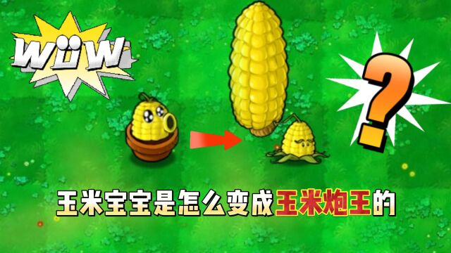 植物大战僵尸:玉米宝宝是怎么变成玉米炮的呢?