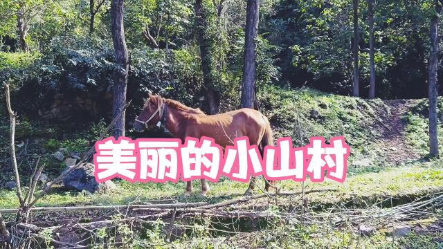 美丽的小山村七里坪!慈善家郭战解拍于河南省洛宁县赵村镇!