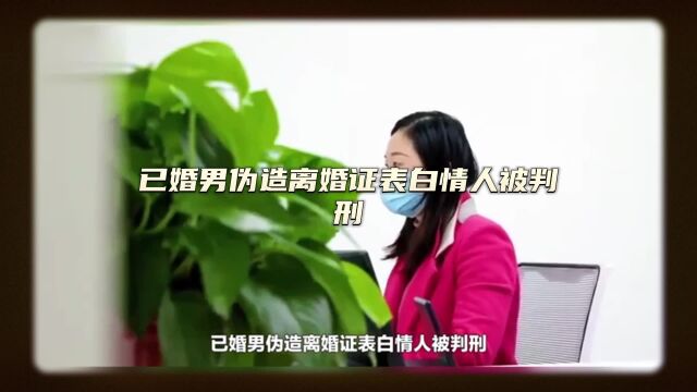 已婚男伪造离婚证表白情人被判刑