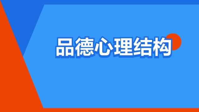 “品德心理结构”是什么意思?