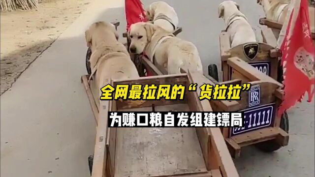 全网最拉风的“货拉拉”,为赚口粮自发组建镖局,却从未翻过车