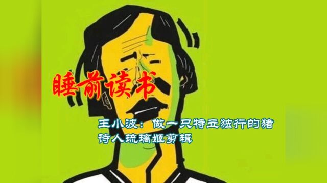 【睡前读书】王小波:一只特立独行的猪